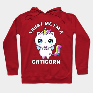 Kawaii Caticorn Unicorn Cat Kittycorn Hoodie